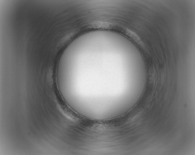 X0000071910538200607212045