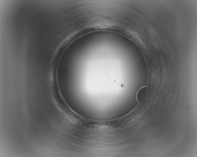 X0000071910539200607212045