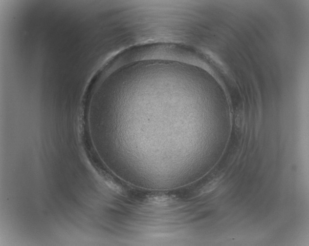 X0000071910540200607212045