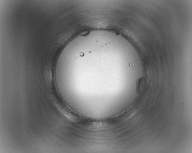 X0000071910541200607212045