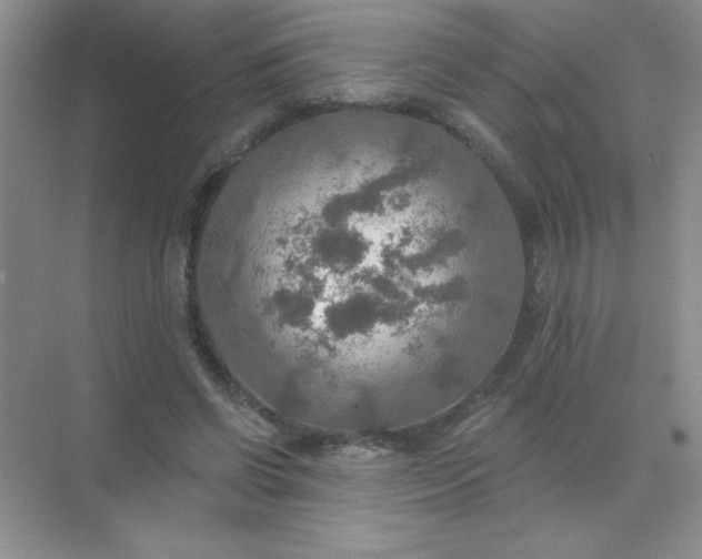 X0000071910542200607212045