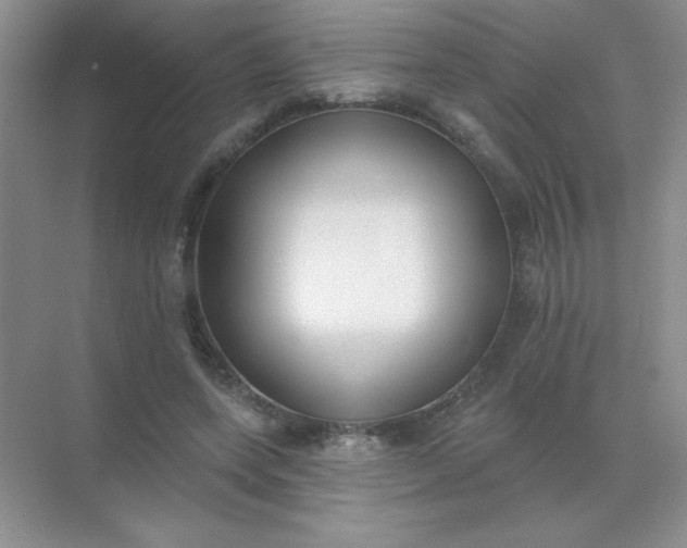 X0000071910543200607212045