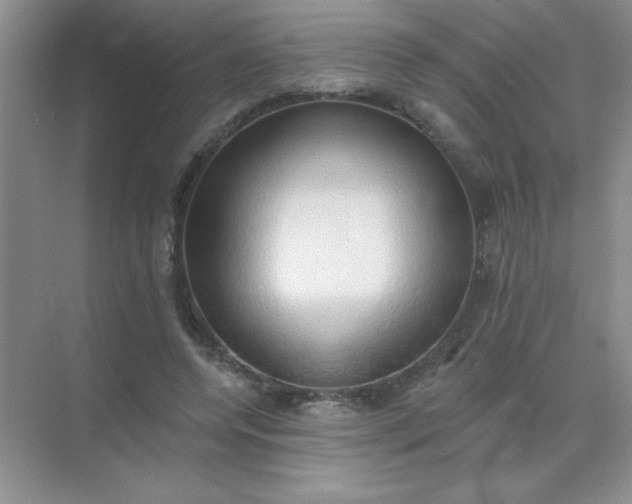 X0000071910544200607212045