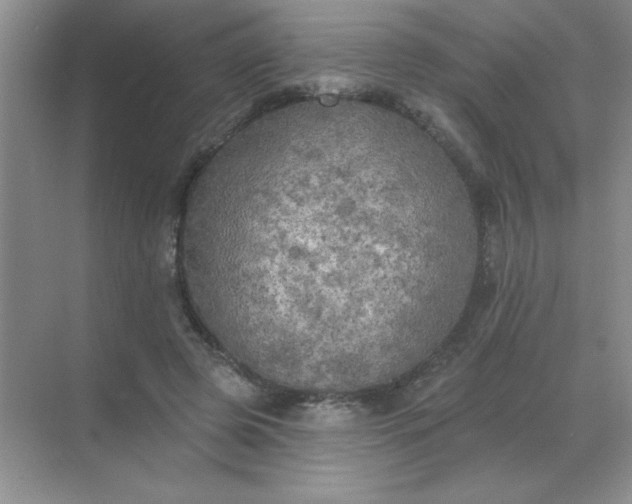 X0000071910545200607212045