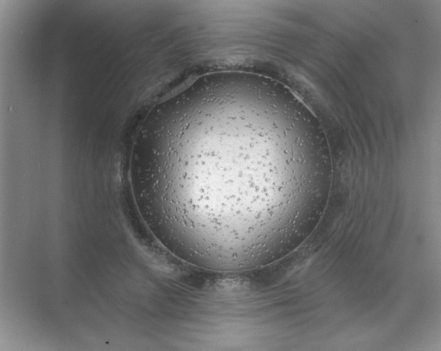 X0000071910546200607212045