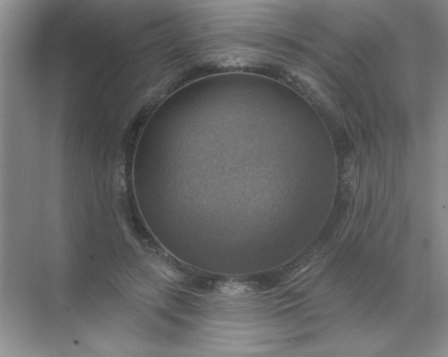 X0000071910547200607212045