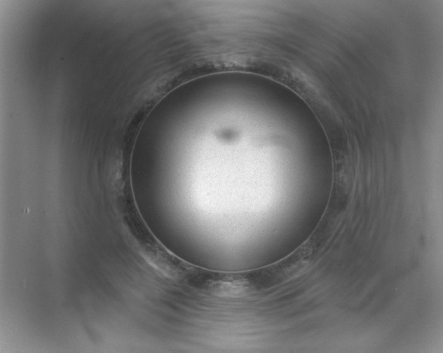 X0000071910548200607212045