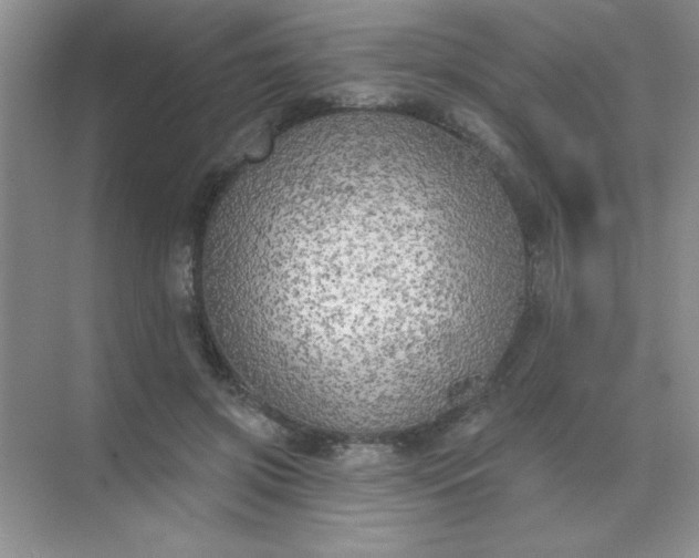 X0000071910549200607212045