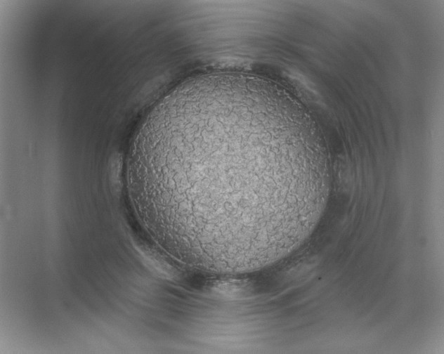 X0000071910550200607212045