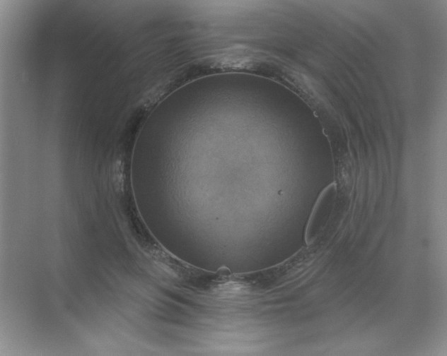 X0000071910551200607212045