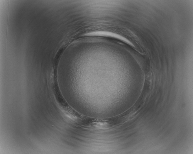 X0000071910552200607212045