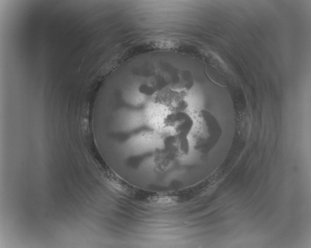 X0000071910553200607212045