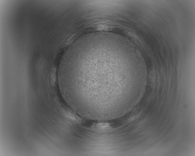 X0000071910554200607212045