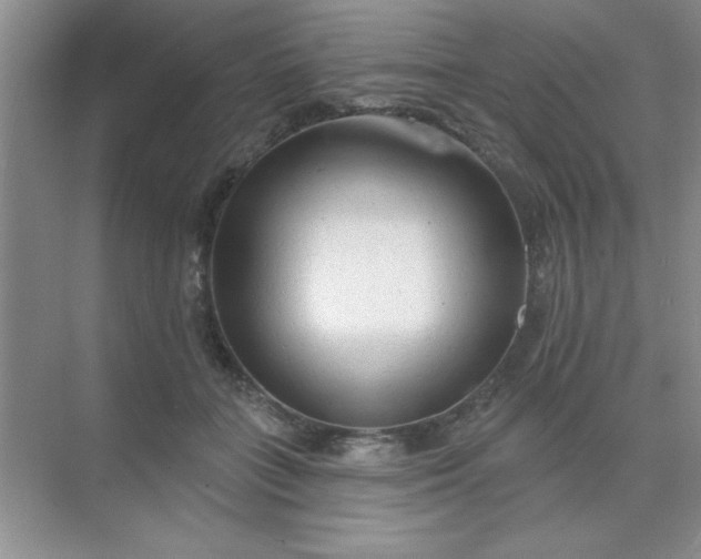 X0000071910555200607212045