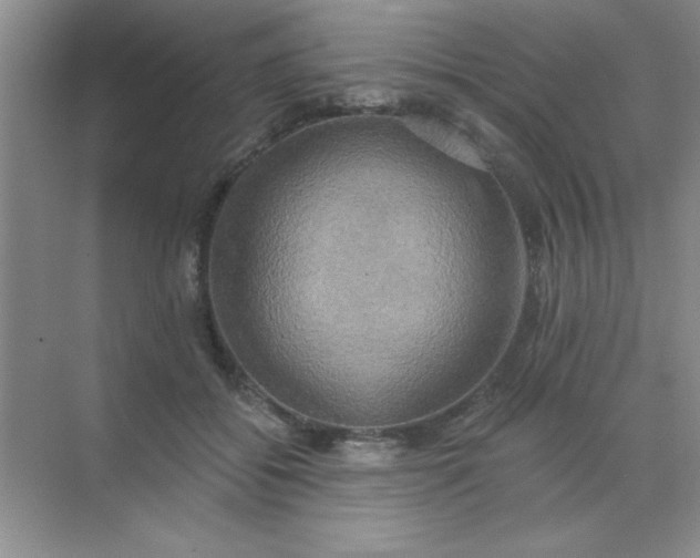 X0000071910556200607212045