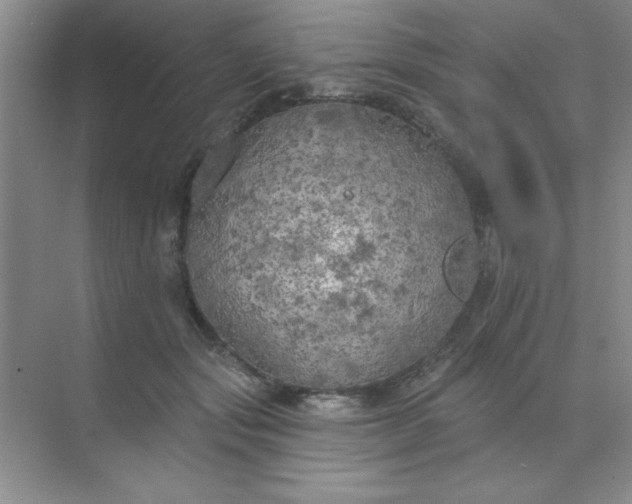 X0000071910557200607212045