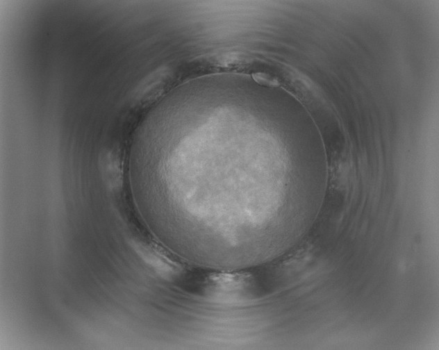 X0000071910558200607212045