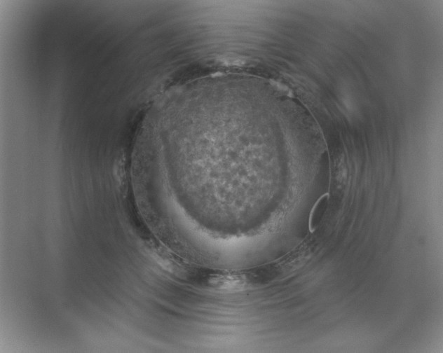 X0000071910559200607212045