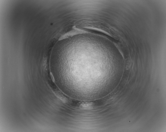 X0000071910560200607212045