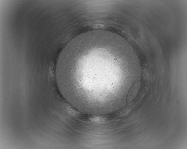 X0000071910561200607212045