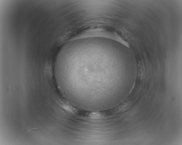 X0000071910562200607212045