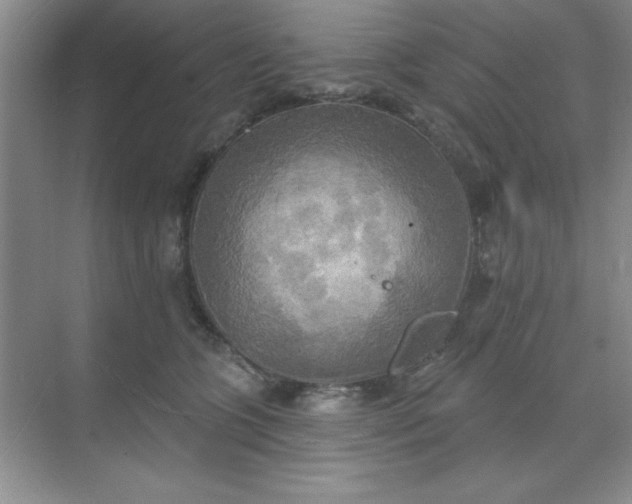 X0000071910563200607212045