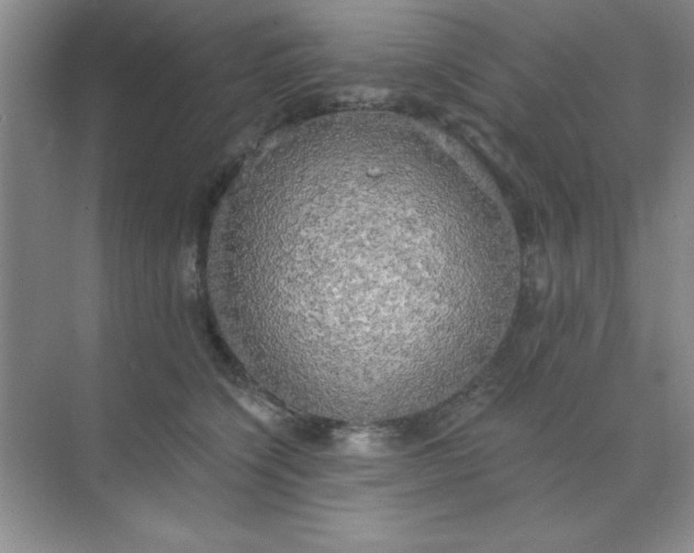 X0000071910564200607212045