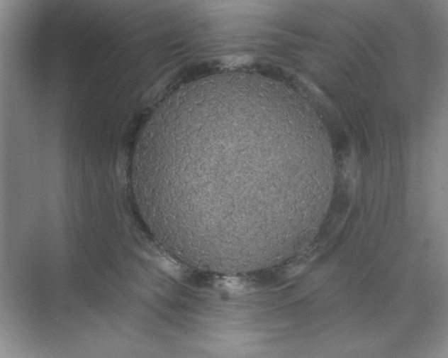 X0000071910565200607212045