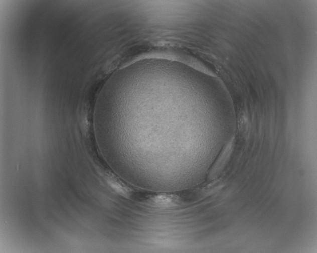 X0000071910566200607212045