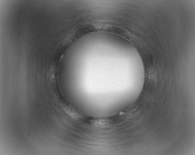 X0000071910567200607212045