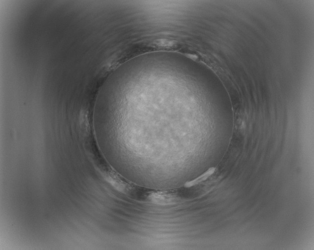 X0000071910568200607212045