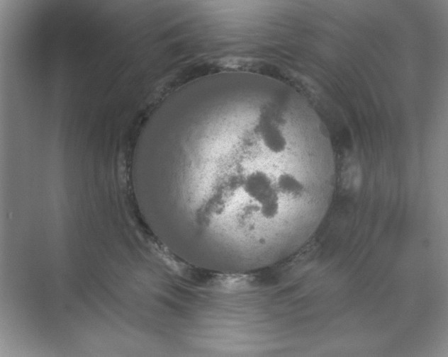 X0000071910569200607212045