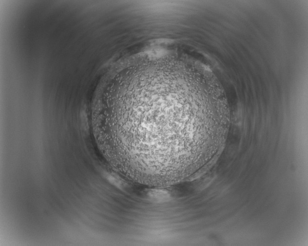 X0000071910572200607212045