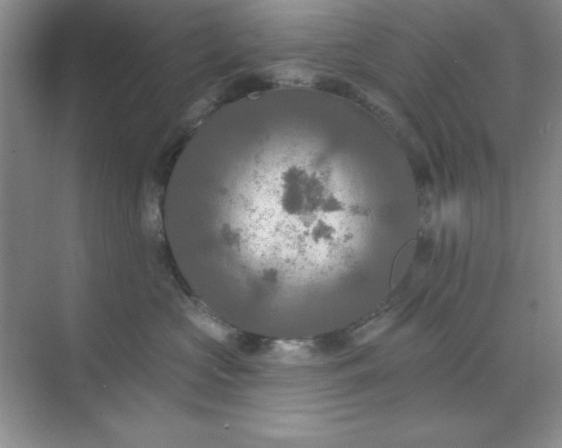 X0000071910573200607212045