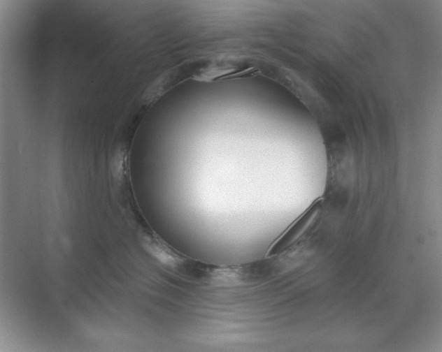 X0000071910574200607212045