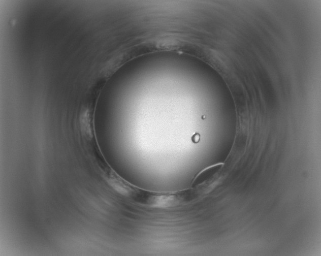 X0000071910575200607212045