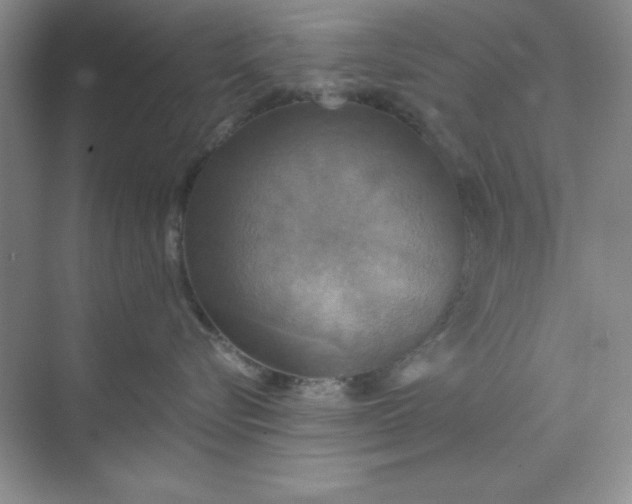 X0000071910576200607212045