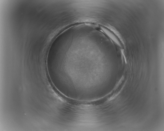 X0000071910577200607212044