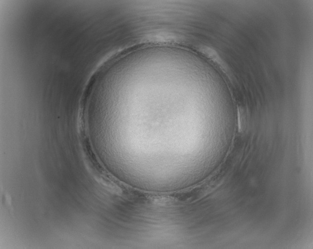 X0000071910579200607212044