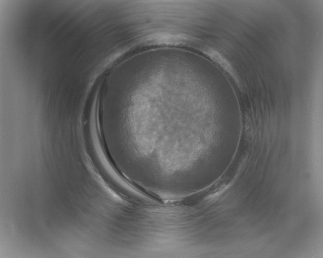 X0000071910581200607212044