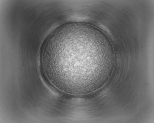 X0000071910582200607212044