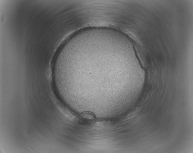 X0000071910584200607212044