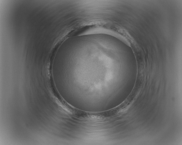 X0000071910585200607212044