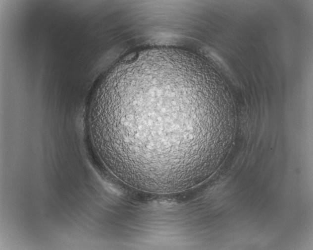 X0000071910586200607212044