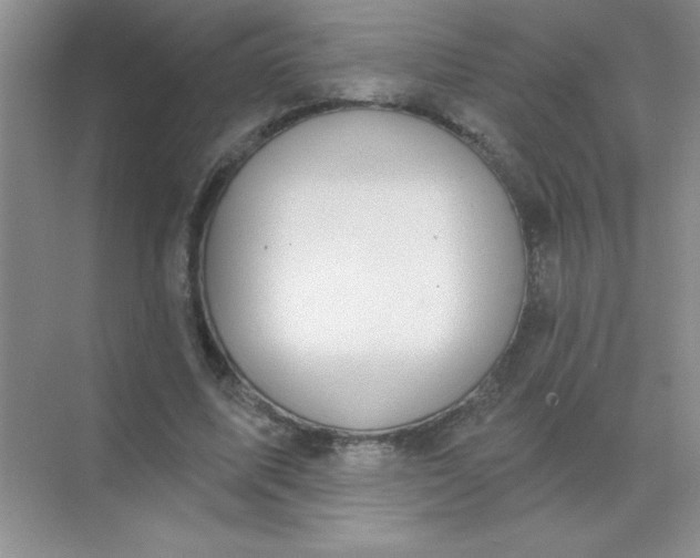 X0000071910587200607212044