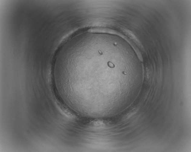 X0000071910588200607212044