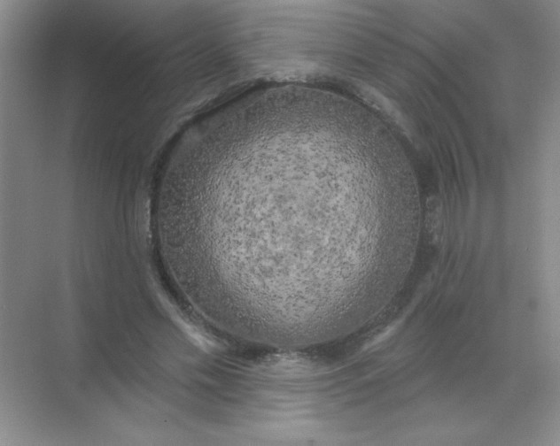 X0000071910589200607212044