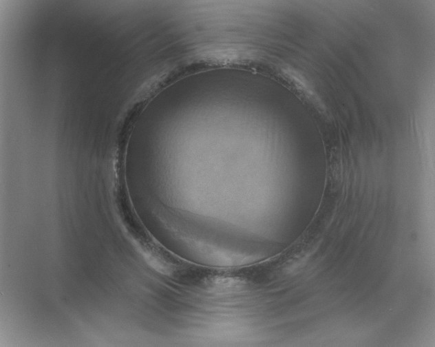 X0000071910590200607212044