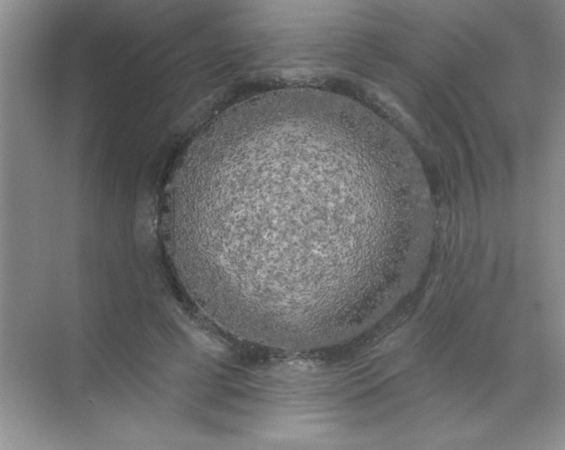 X0000071910593200607212044