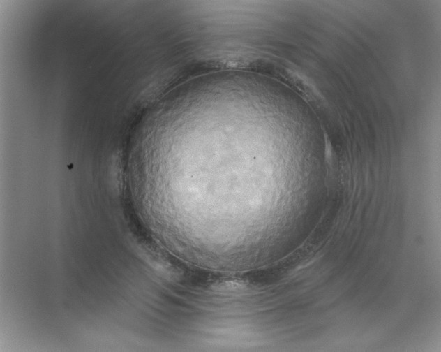 X0000071910594200607212044